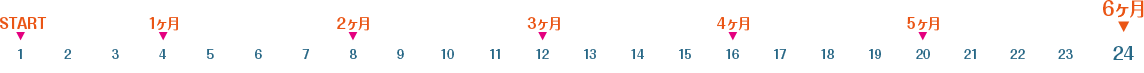 図：6ヶ月の学習計画